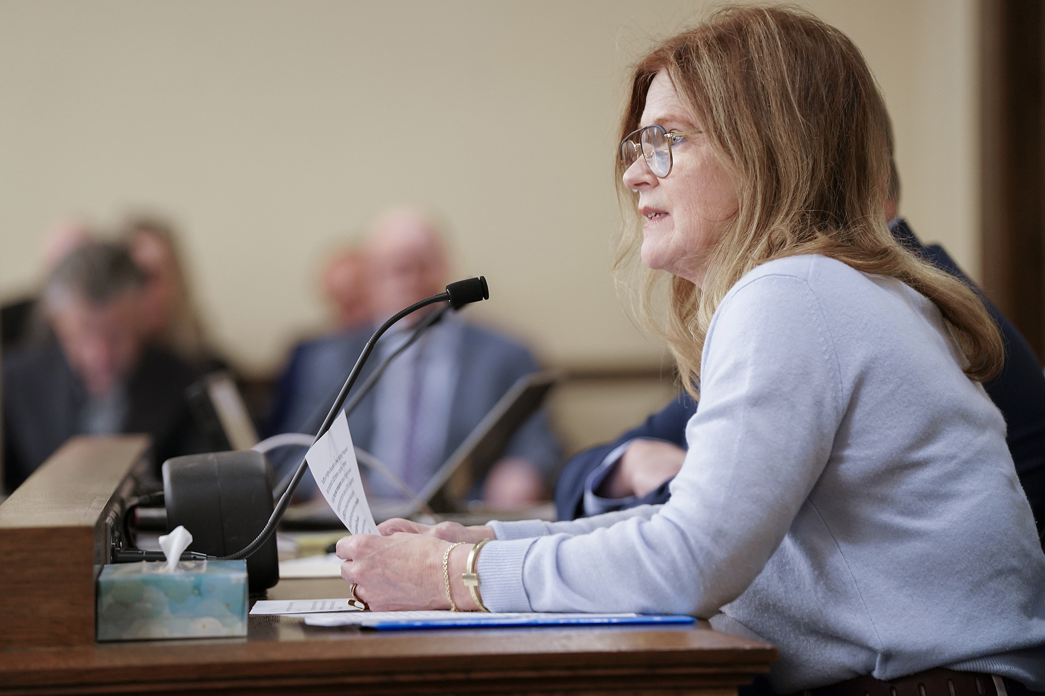Jane Graupman, executive director of the International Institute of Minnesota, testifies April 9 in support of HF4608. Sponsored by Rep. Jon Koznick, the bill would, in part, require public postsecondary institutions to inform students the differences between uncredited developmental education courses and college credit courses. (Photo by Michele Jokinen)